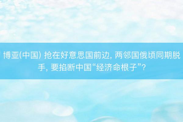 博亚(中国) 抢在好意思国前边， 两邻国俄顷同期脱手， 要掐断中国“经济命根子”?