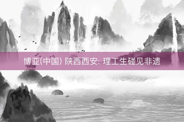 博亚(中国) 陕西西安: 理工生碰见非遗