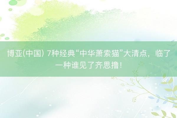 博亚(中国) 7种经典“中华萧索猫”大清点,临了一种谁见了齐思撸!
