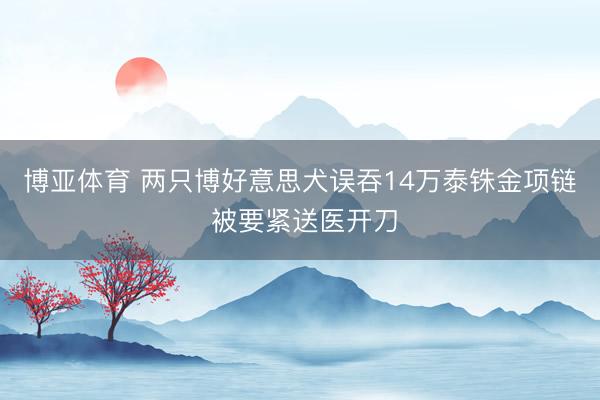 博亚体育 两只博好意思犬误吞14万泰铢金项链 被要紧送医开刀