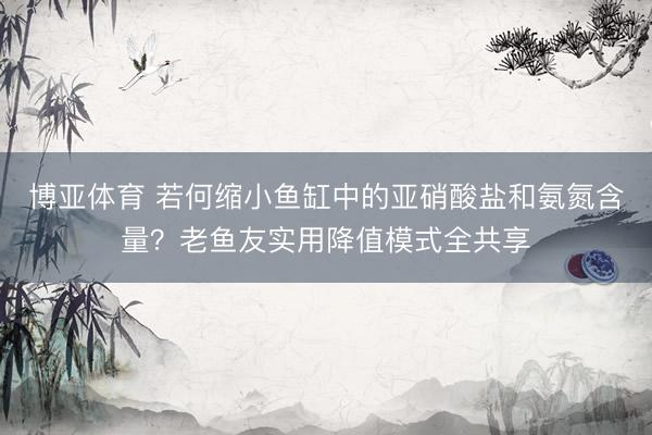 博亚体育 若何缩小鱼缸中的亚硝酸盐和氨氮含量?老鱼友实用降值模式全共享