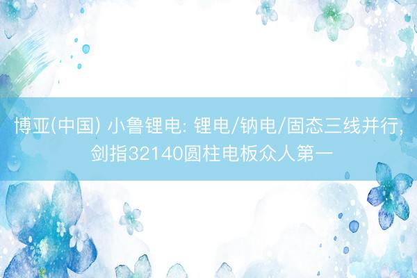 博亚(中国) 小鲁锂电: 锂电/钠电/固态三线并行， 剑指32140圆柱电板众人第一