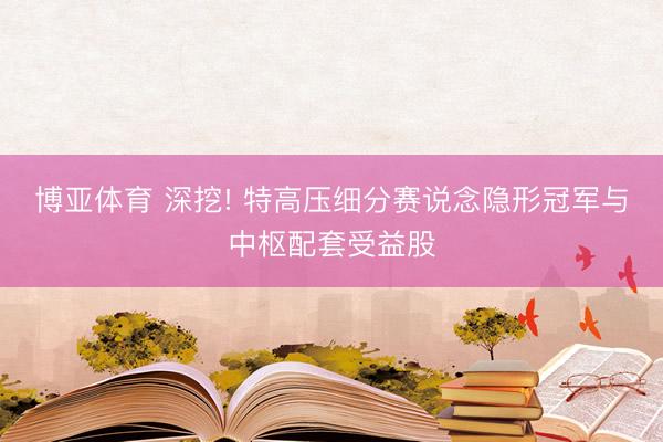 博亚体育 深挖! 特高压细分赛说念隐形冠军与中枢配套受益股