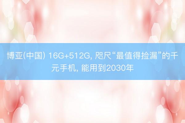 博亚(中国) 16G+512G， 咫尺“最值得捡漏”的千元手机， 能用到2030年