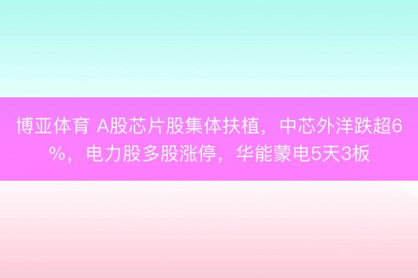 博亚体育 A股芯片股集体扶植，中芯外洋跌超6%，电力股多股涨停，华能蒙电5天3板