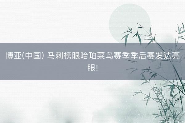 博亚(中国) 马刺榜眼哈珀菜鸟赛季季后赛发达亮眼!