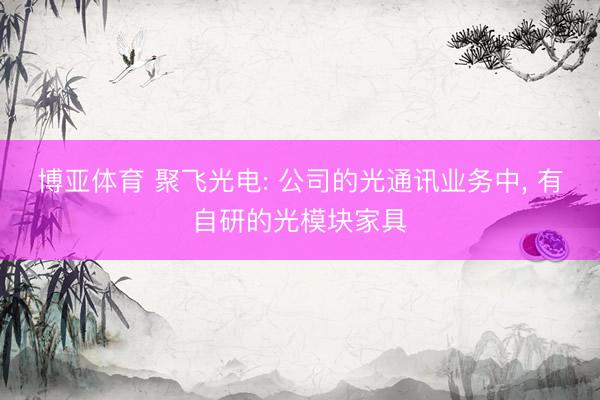 博亚体育 聚飞光电: 公司的光通讯业务中， 有自研的光模块家具