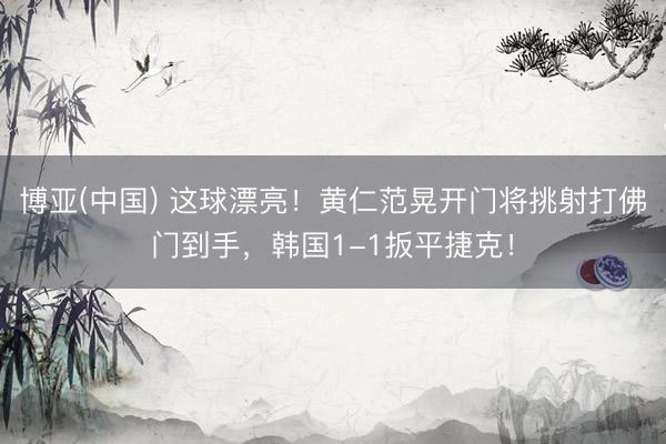 博亚(中国) 这球漂亮！黄仁范晃开门将挑射打佛门到手，韩国1-1扳平捷克！