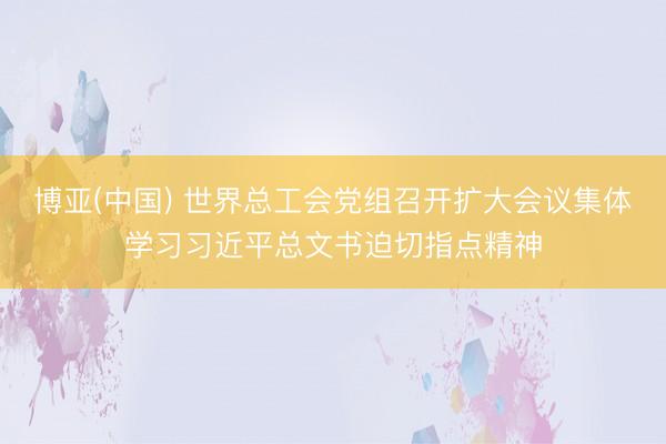 博亚(中国) 世界总工会党组召开扩大会议集体学习习近平总文书迫切指点精神