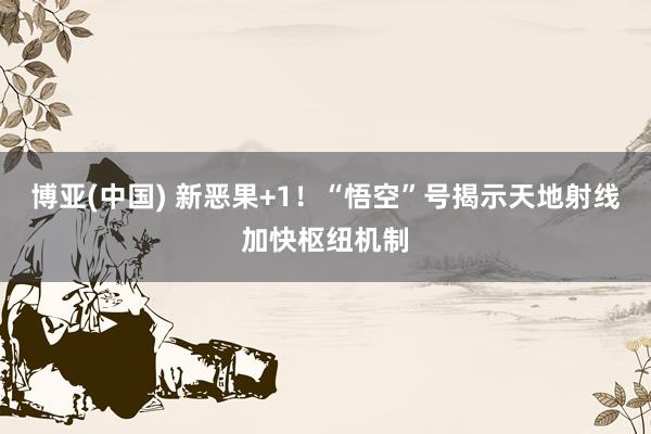 博亚(中国) 新恶果+1！“悟空”号揭示天地射线加快枢纽机制